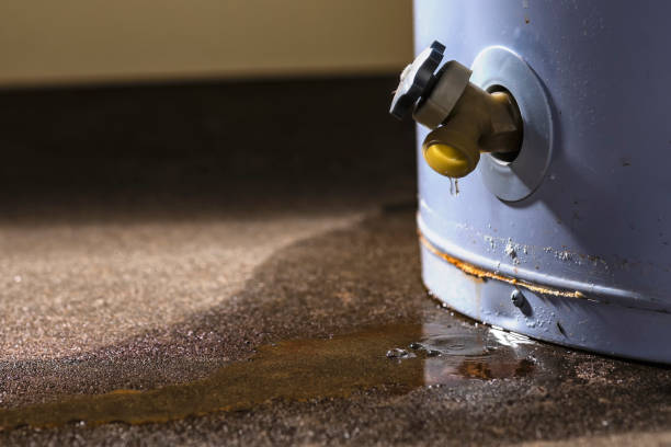 Best Basement water damage restoration  in Imperial, NE