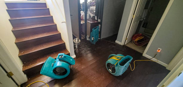 Best Water damage restoration near me  in Imperial, NE