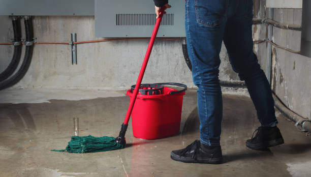 Best Carpet water damage restoration  in Imperial, NE