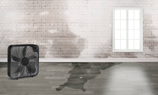 Best Sewage cleanup and water damage restoration  in Imperial, NE
