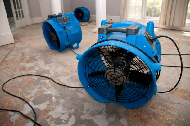Best Flood restoration services  in Imperial, NE