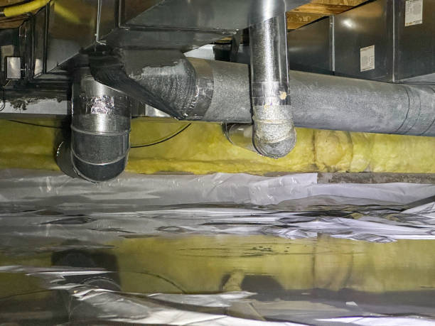 Best Flood damage cleanup  in Imperial, NE