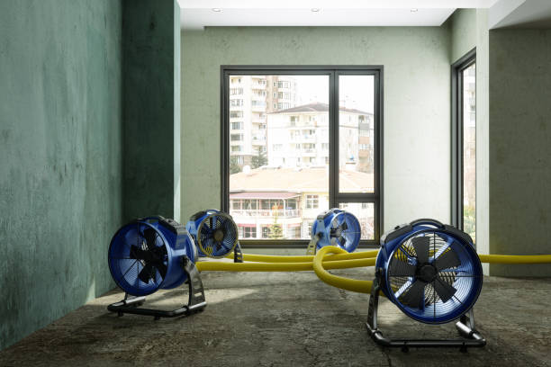 Best Ceiling water damage repair  in Imperial, NE